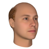 Balding_3