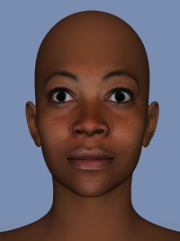 FaceGen Artist