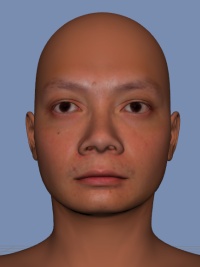 FaceGen Artist