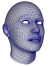 Face Example 1