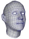 Face Example 2